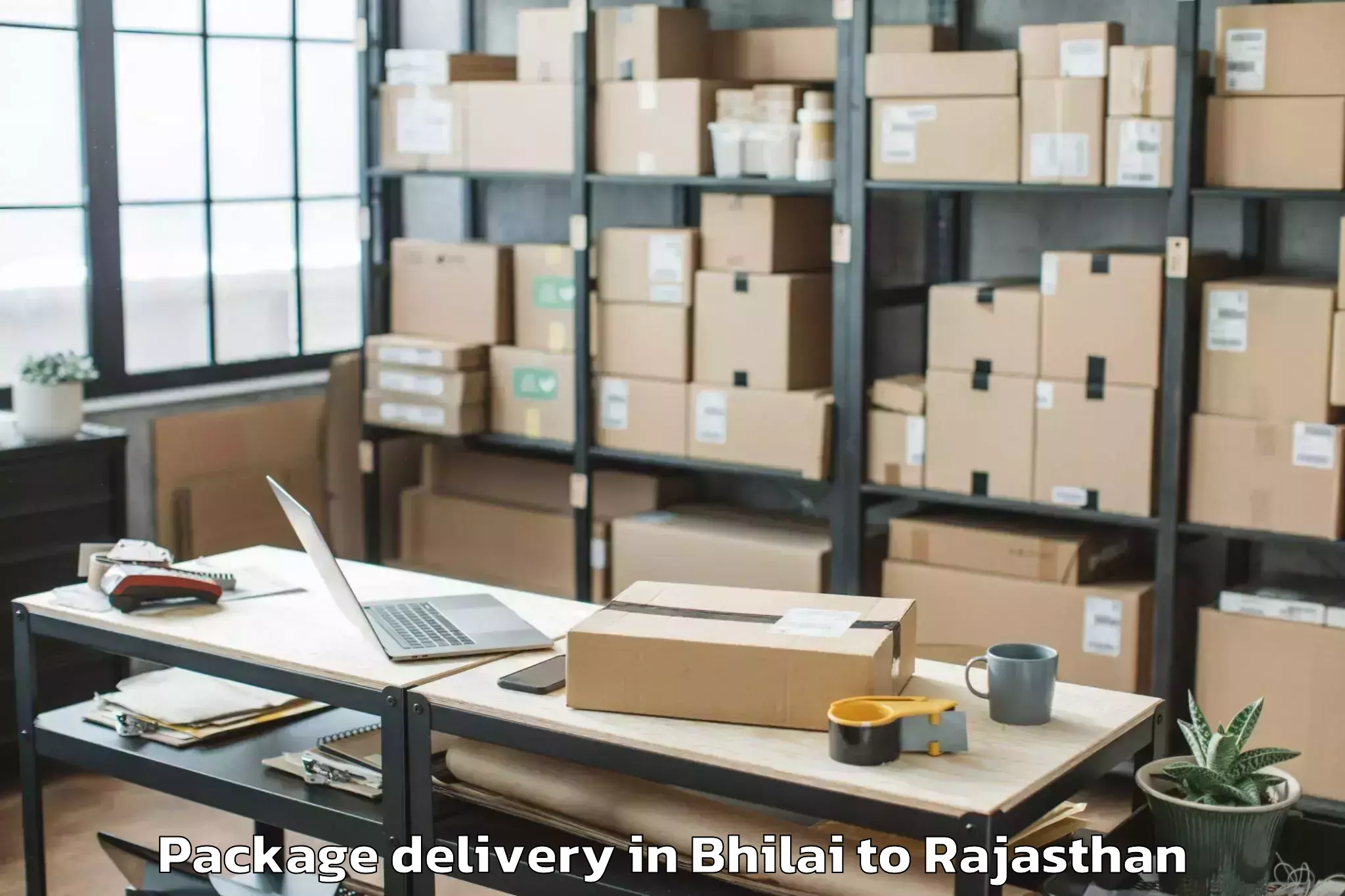 Professional Bhilai to Sir Padampat Singhania Univers Package Delivery